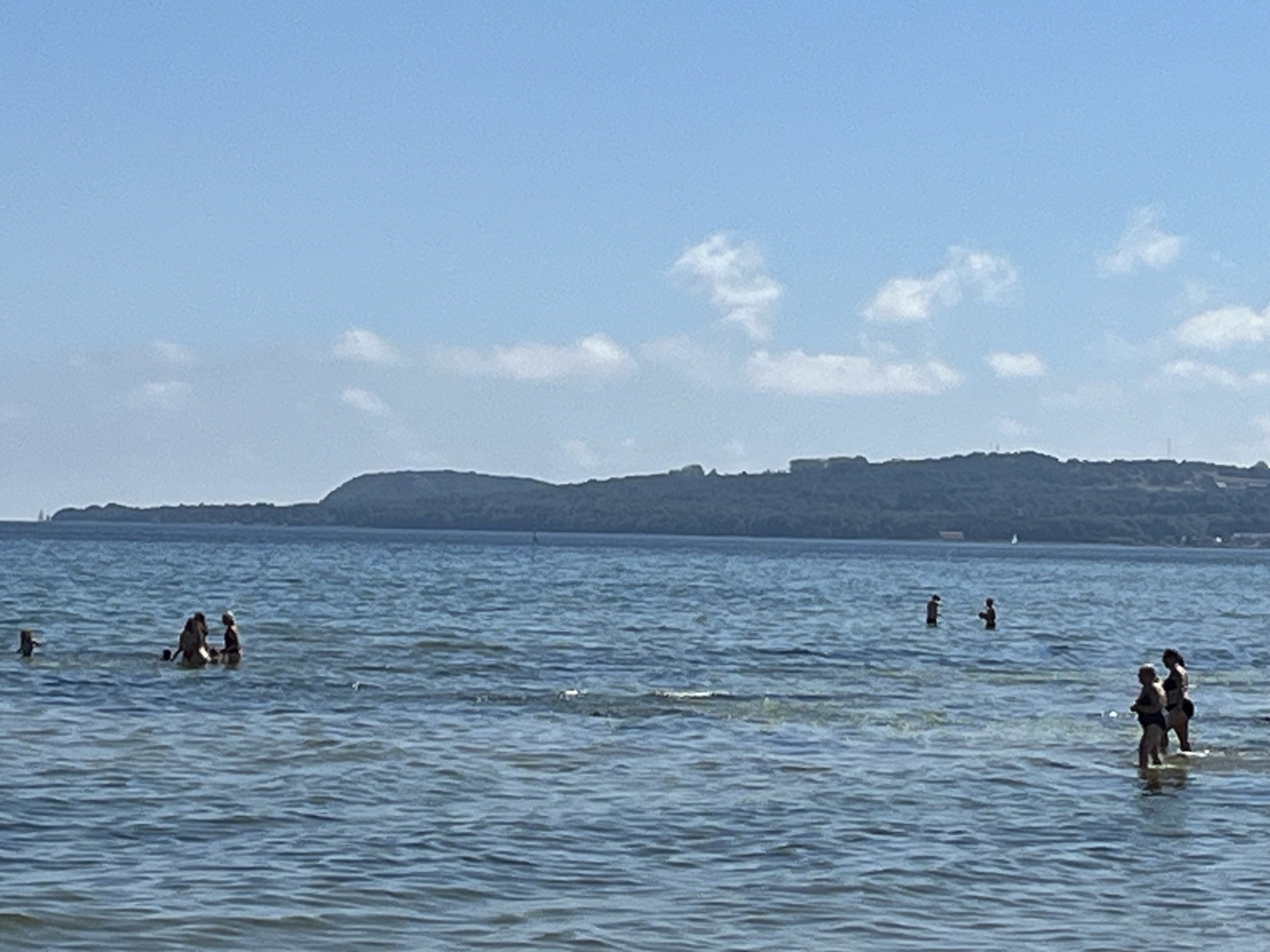 IMG_4118.jpeg