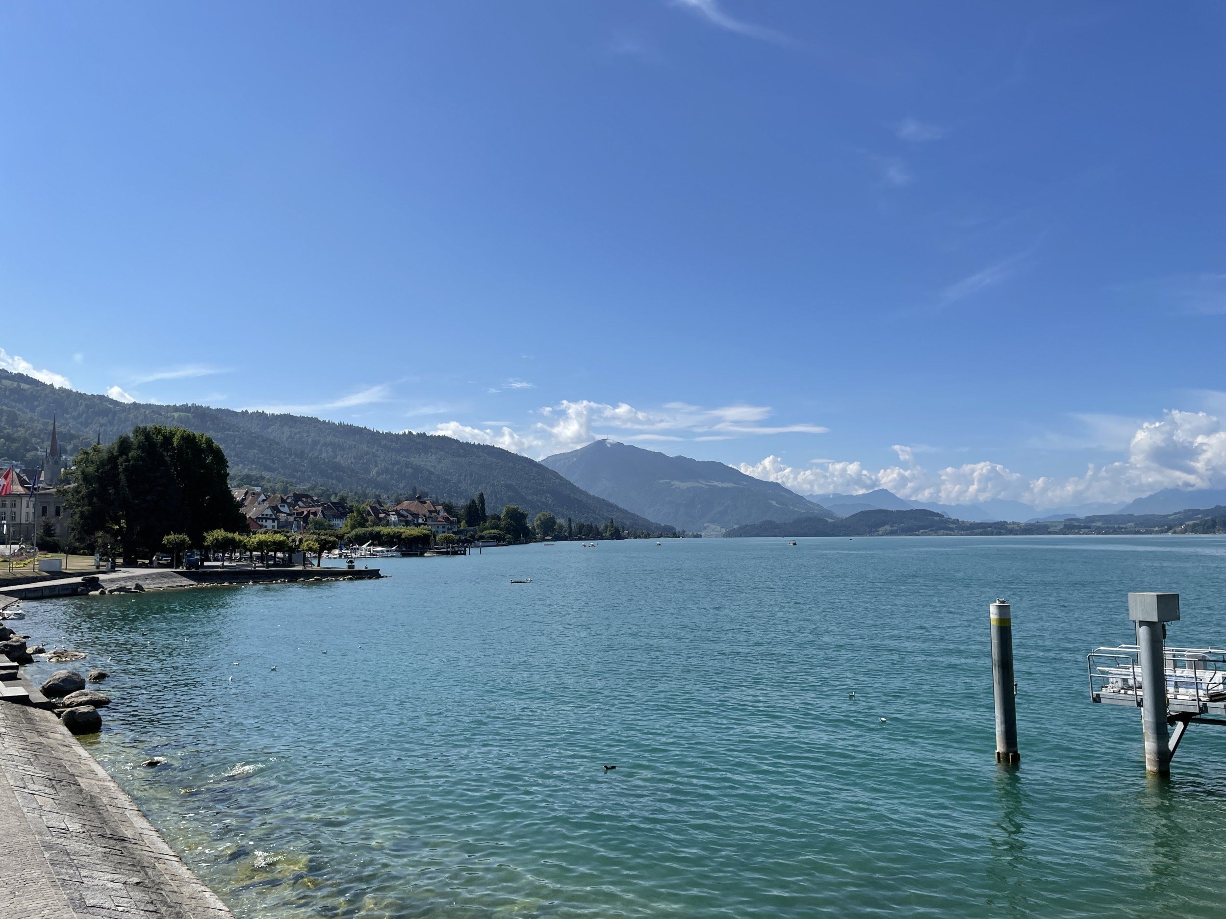 IMG_4246.JPG