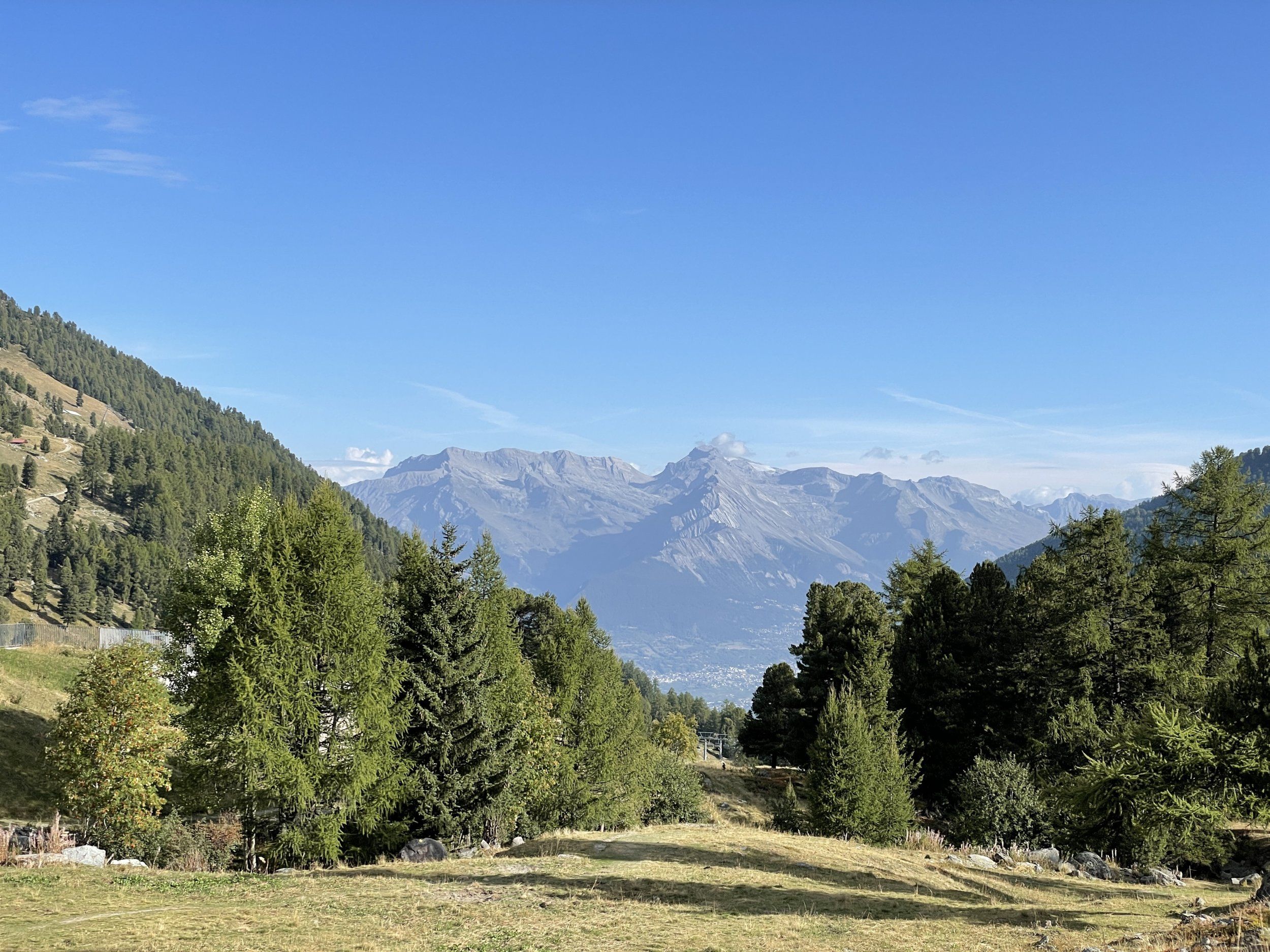 IMG_4336.JPG