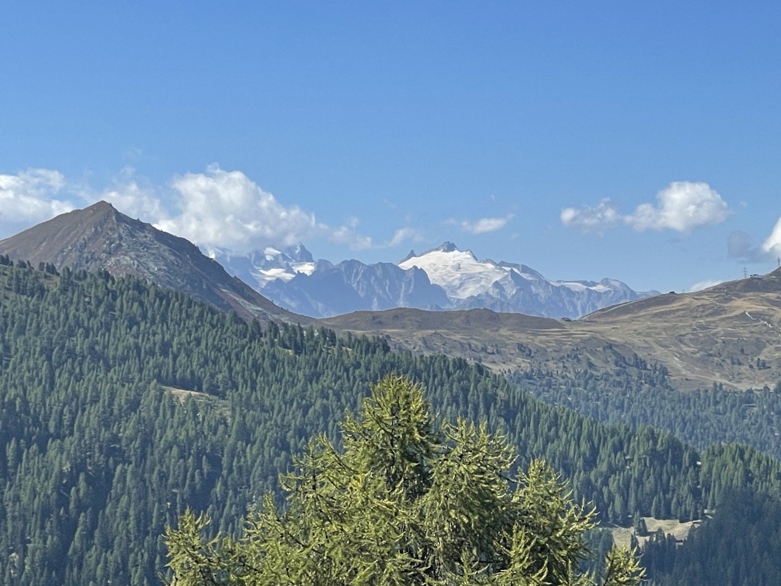 IMG_4374.JPG