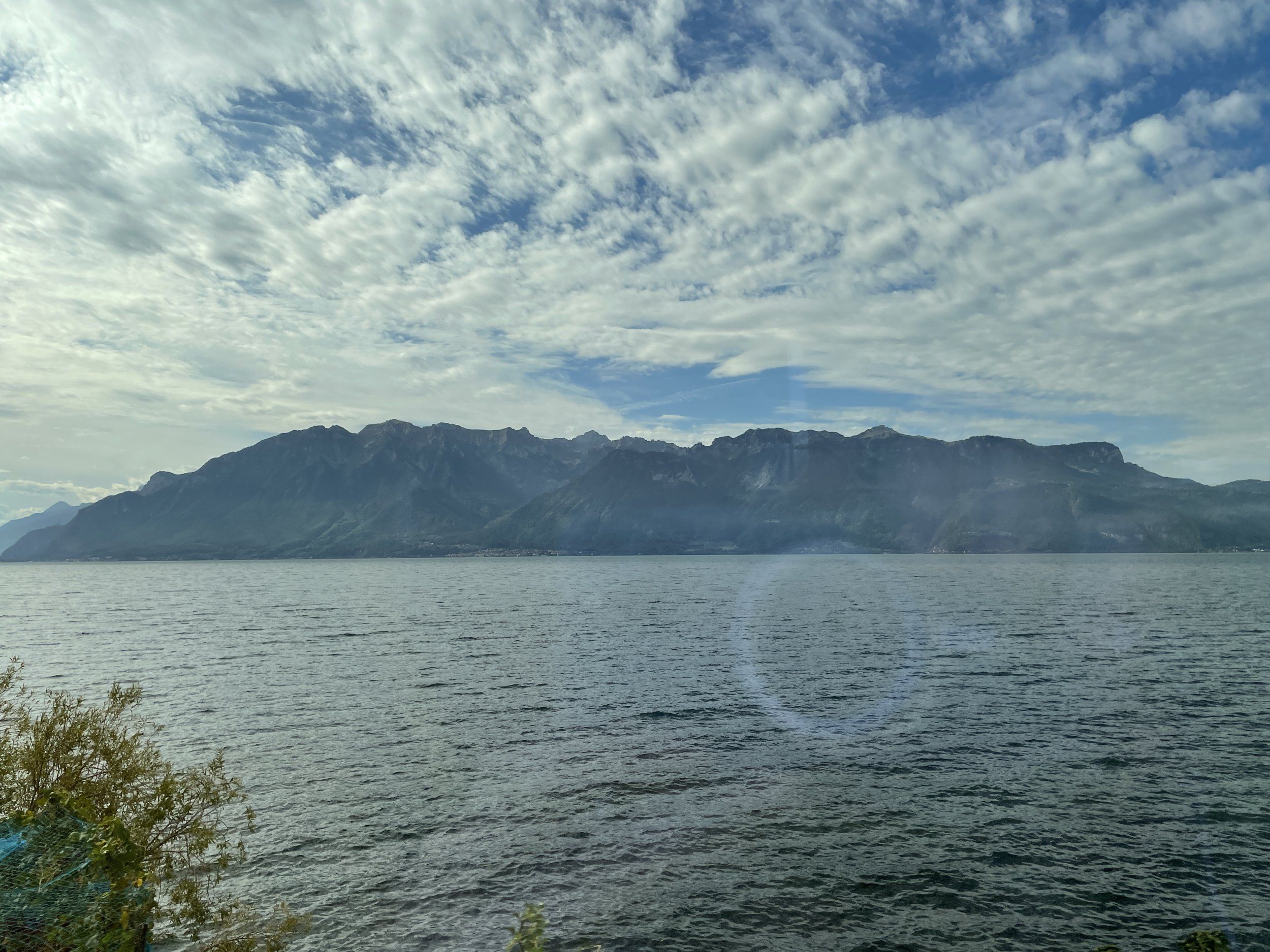 IMG_4409.JPG