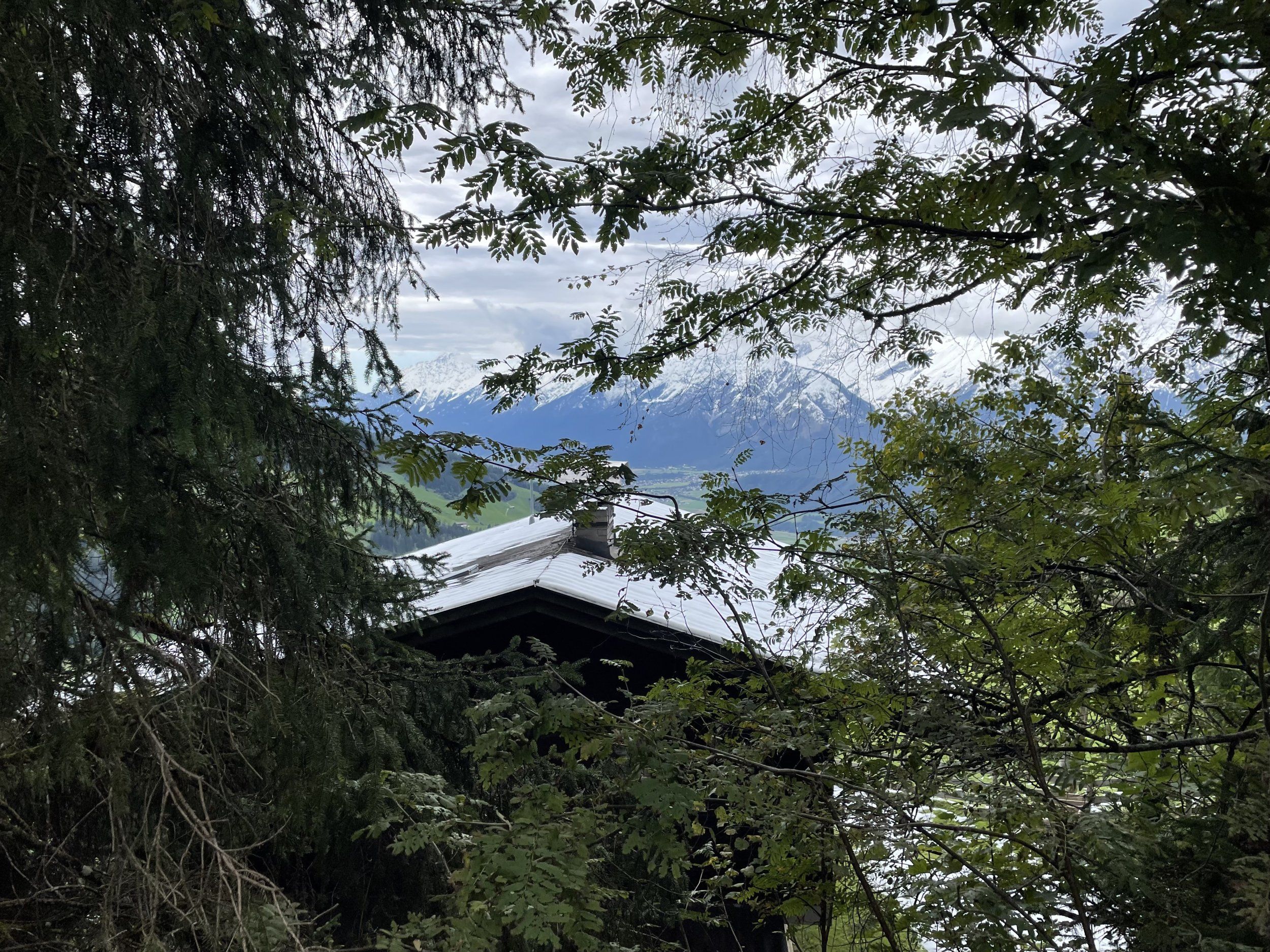 IMG_4785.jpeg