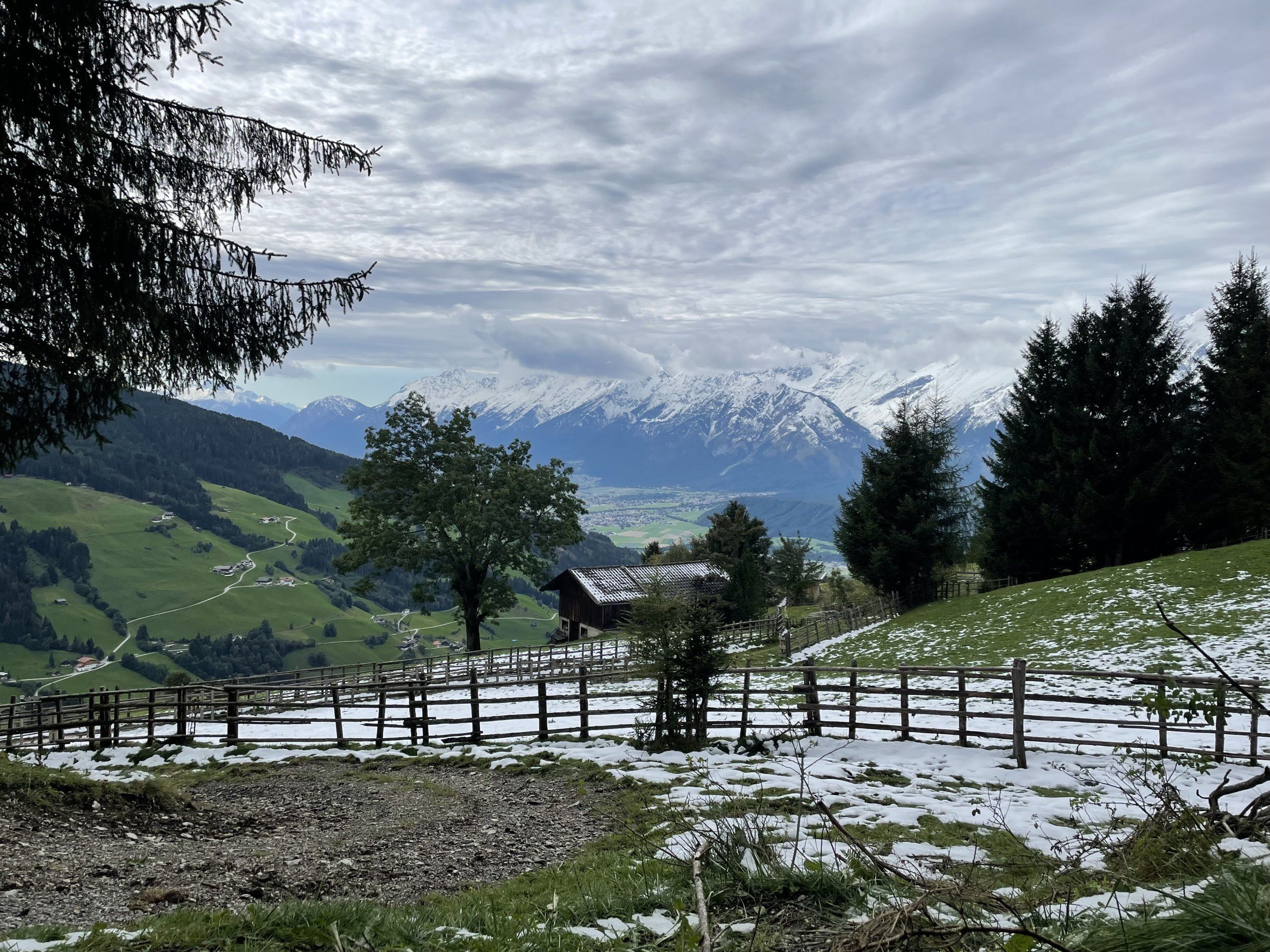 IMG_4786.jpeg
