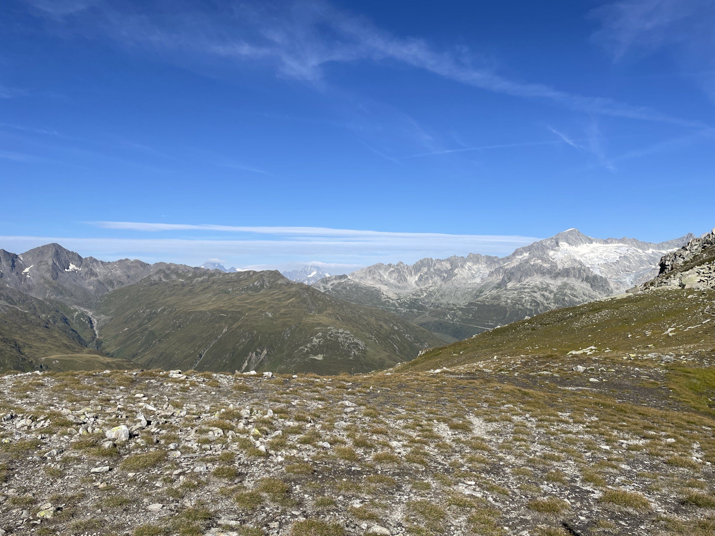 IMG_5571.JPG