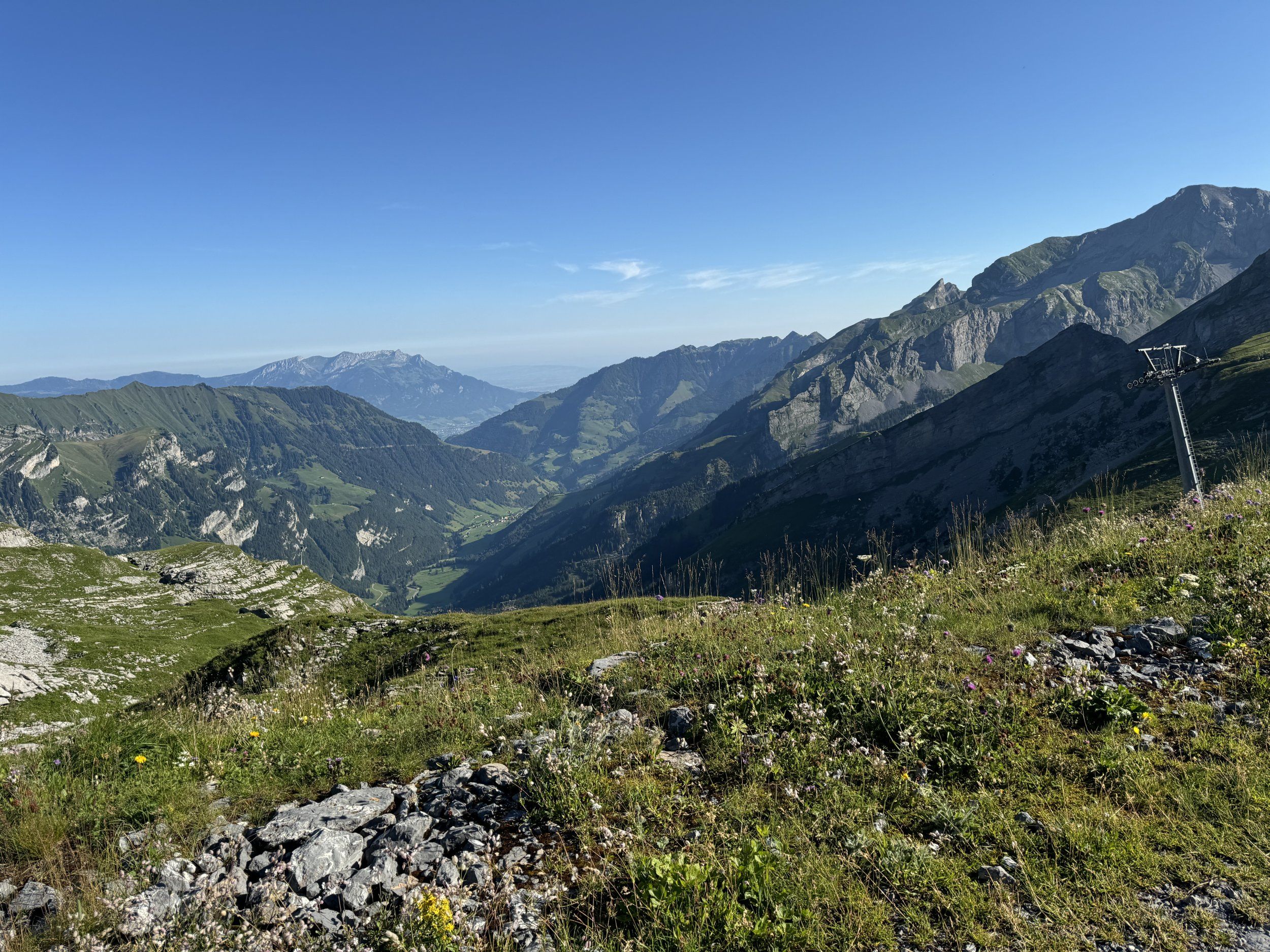 IMG_7051.JPG
