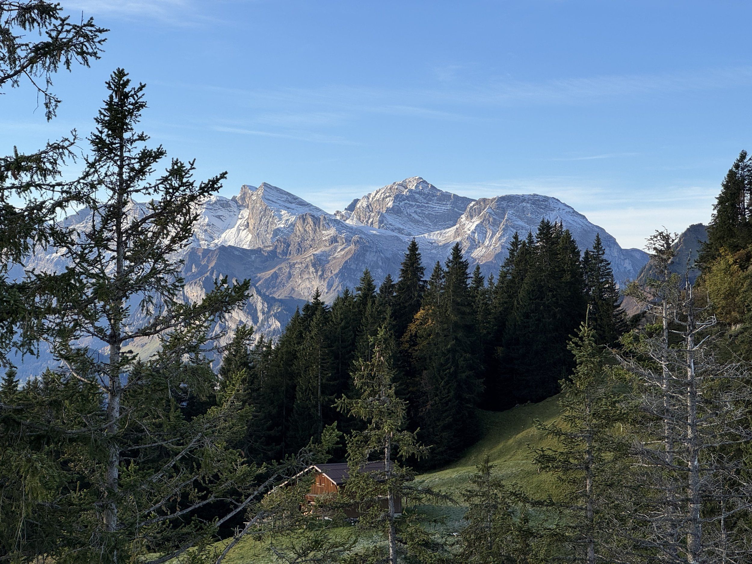 IMG_7475.JPG