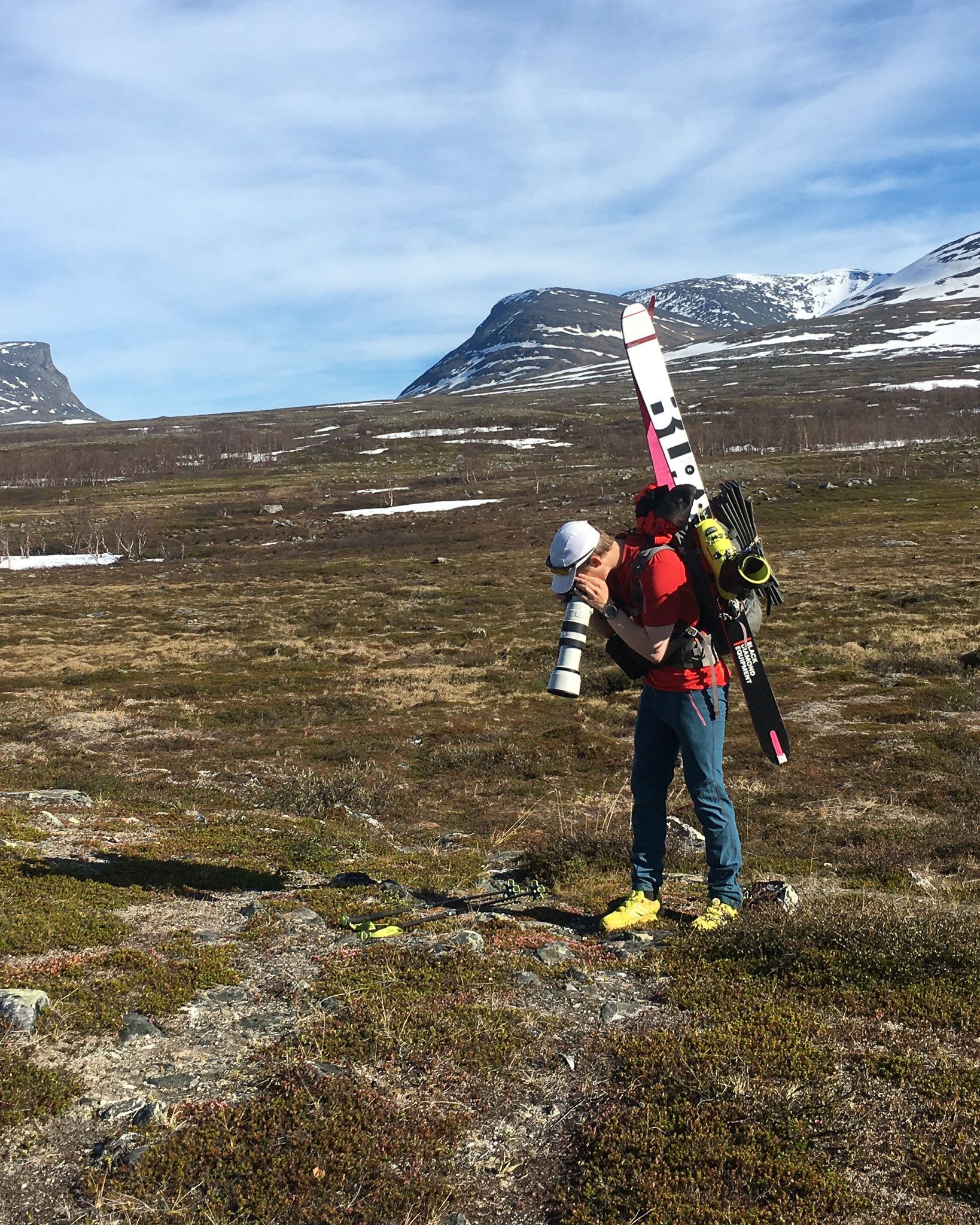 macrofotograferingabisko-3.jpg