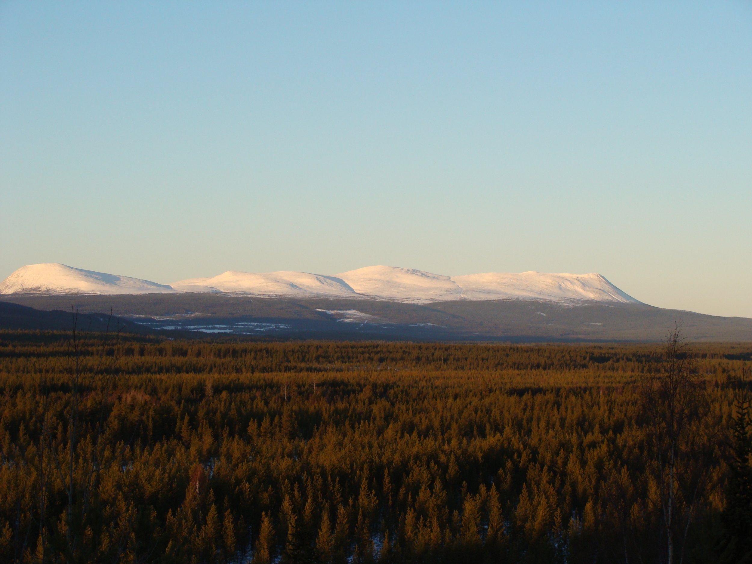mountain.jpg