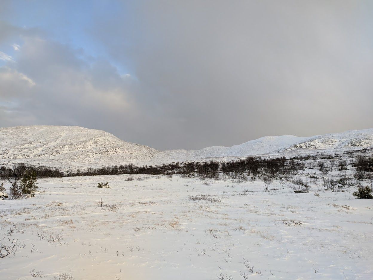 MVIMG_20201121_125748.jpg