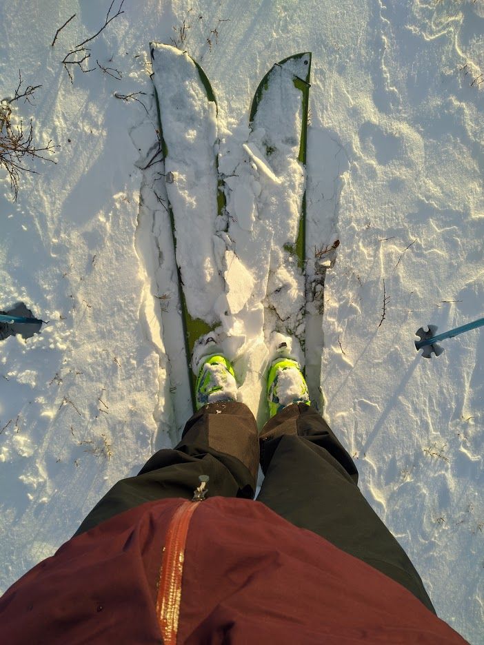 MVIMG_20201121_131118.jpg