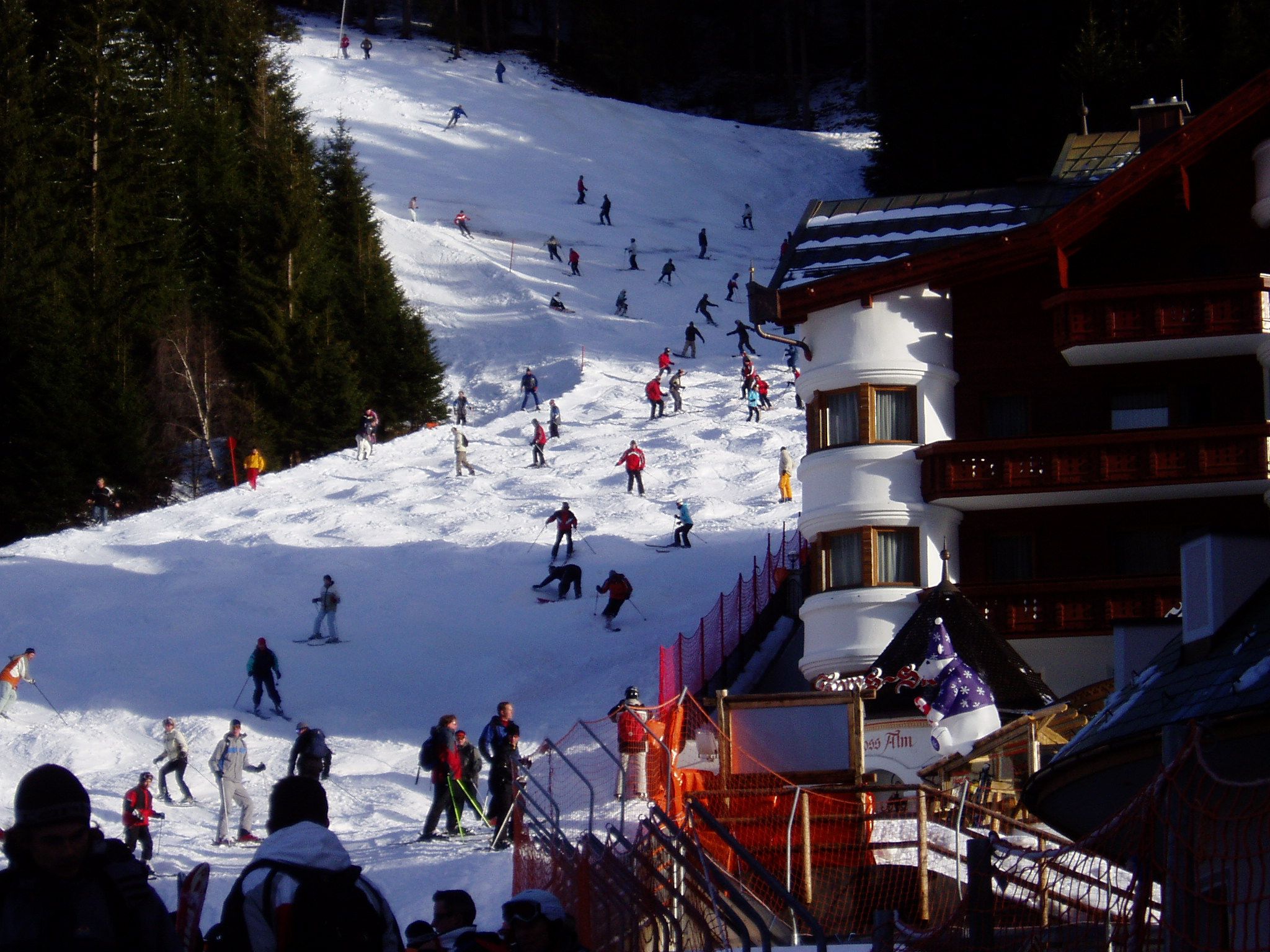 P1010014-2.jpg