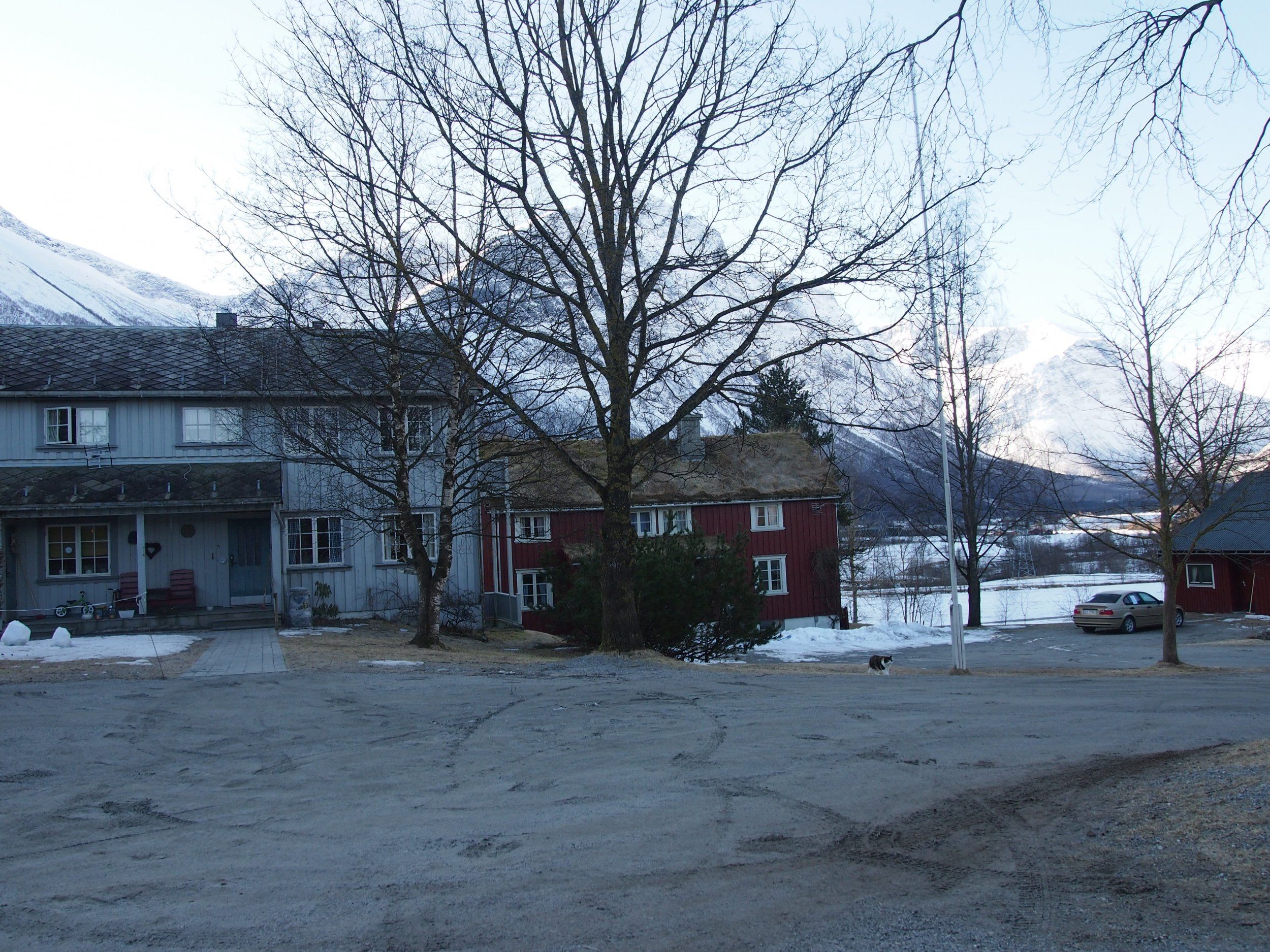 P4050837.jpg