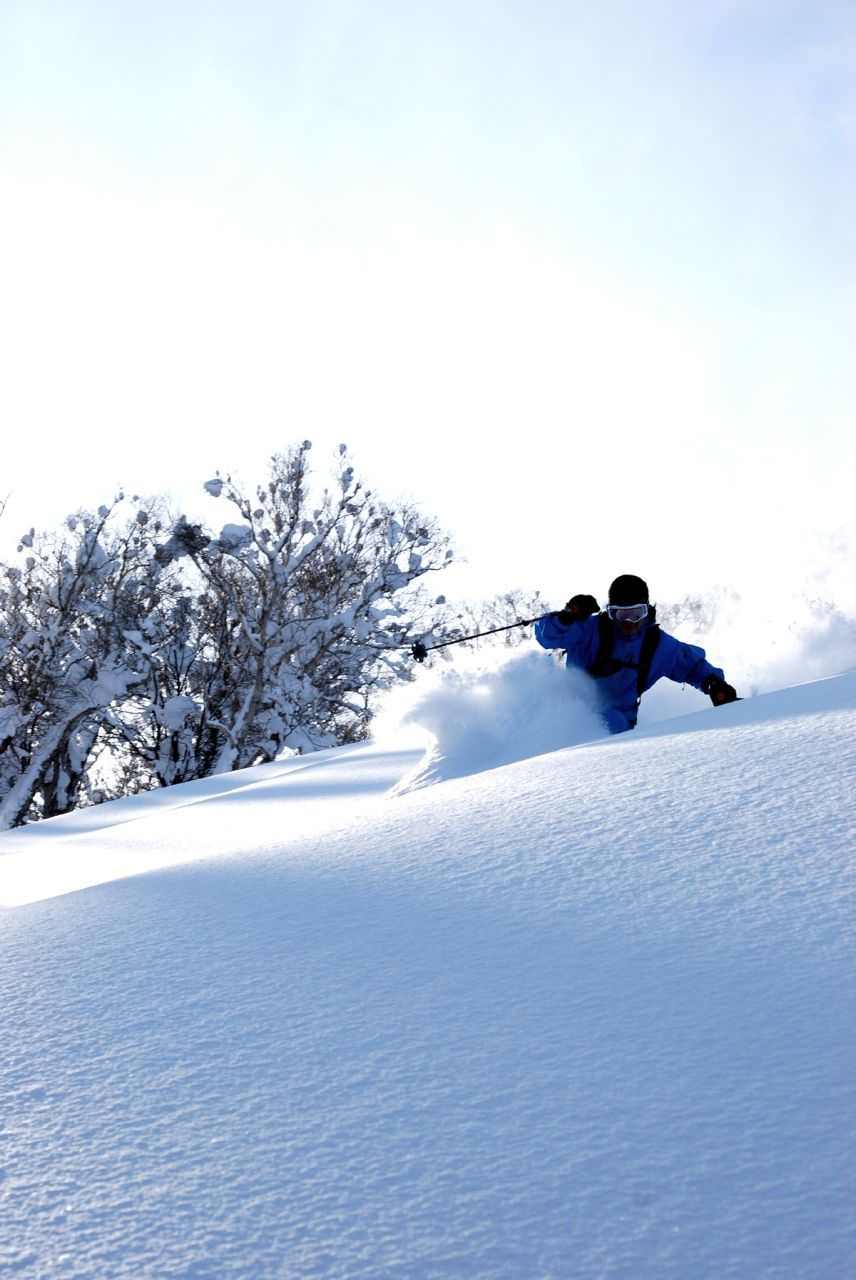 powder.jpg
