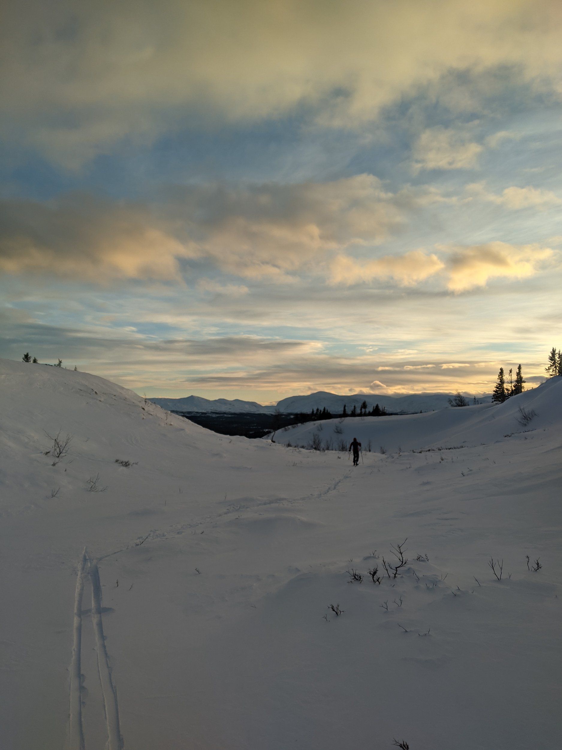 PXL_20230112_135827089.jpg