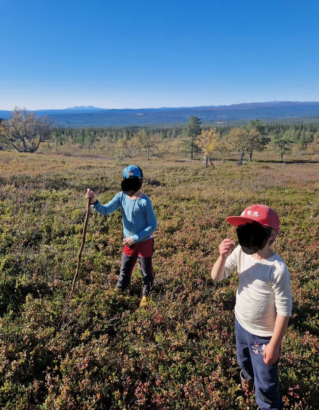 Skärmbild 2026-06-16 130653.webp