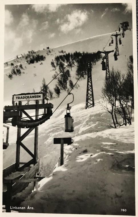 trädgränsen.jpg
