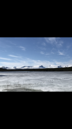 FA0ACB6E-7EDD-4C4F-B7AE-29687BC73289.png