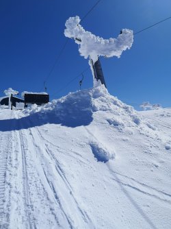 IMG_20200521_123748.jpg