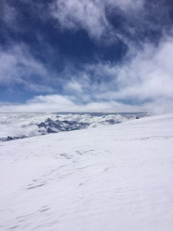 IMG_0836.jpeg