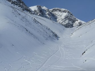 IMG_9708.JPG