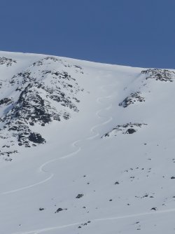 IMG_9696.JPG