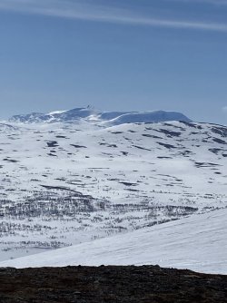 152A8661-861A-4C22-BDE8-E6B994CB2E78.jpeg