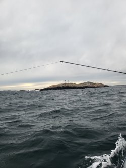 20220717_203053.jpg
