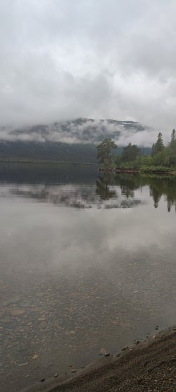 IMG_20220718_090752.jpg