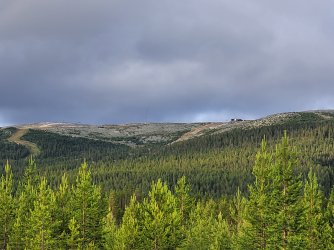 20220716_204632.jpg