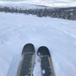 MooseSkis 2.jpg