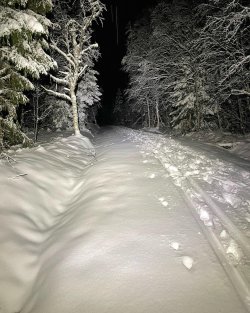 B1359E32-E9E2-4046-AAAF-DD01366040D0.jpeg