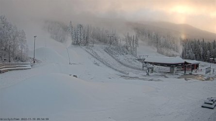 bjornrike_grizzly_1280.jpg