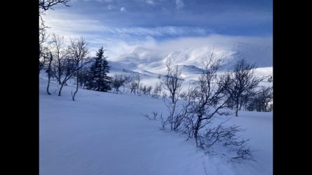 5EB37D42-6A7E-422C-9459-75B646DF8D9B.png