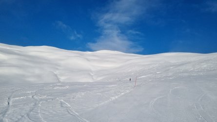 20230218_100803.jpg