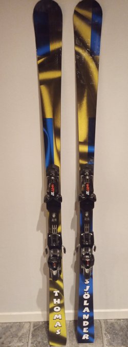skidor.jpg