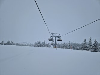 20230309_111318.jpg