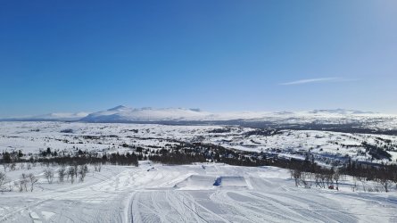 20230316_123408.jpg