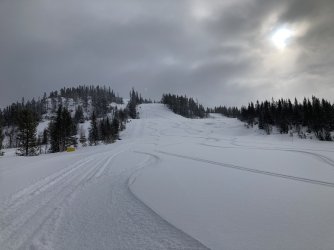 1BA10817-C320-4EB4-8C6B-807D0B0B093B.jpeg