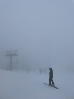 IMG_6272.jpeg