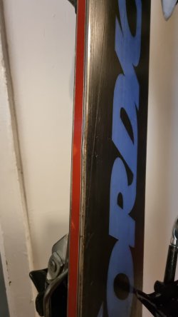 20230414_065717.jpg