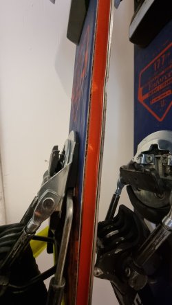 20230414_065746.jpg
