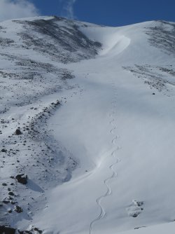 IMG_1485.JPG