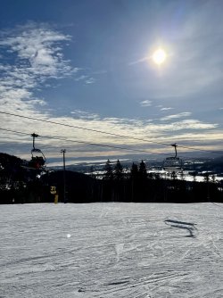 IMG_4222.jpg