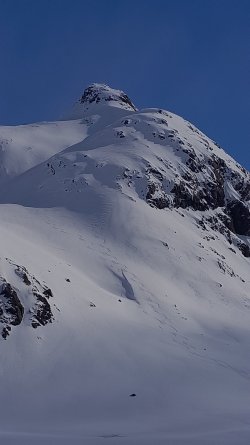 20230504_151705(0).jpg