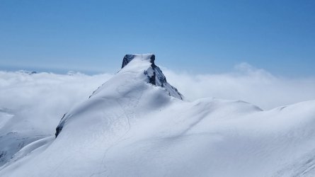 20230520_120736.jpg