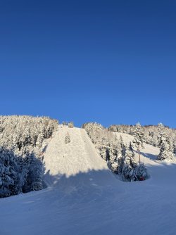 IMG_3575.jpg