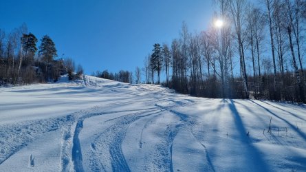20230311_122552.jpg