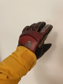 IMG_7484.jpeg