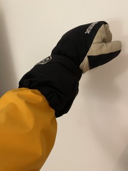 IMG_7486.jpeg