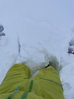 IMG_7528.jpeg
